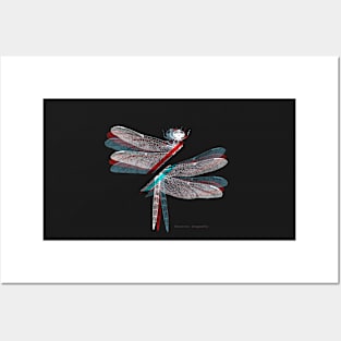 Electric Dragonfly chromatic Dance Electro music Posters and Art